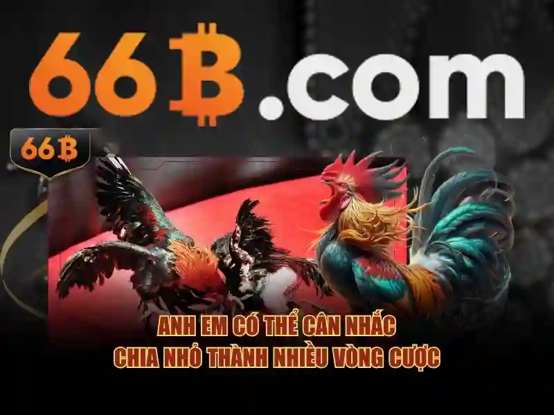 66b com – Tổng quan chủ đề và giá trị cốt lõi
