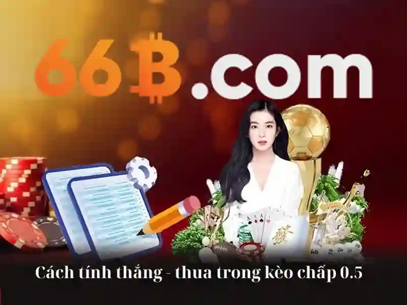 66b web – Tổng quan chủ đề và giá trị cốt lõi