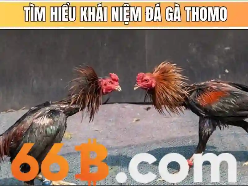 Cấu trúc và kích thước\n\n