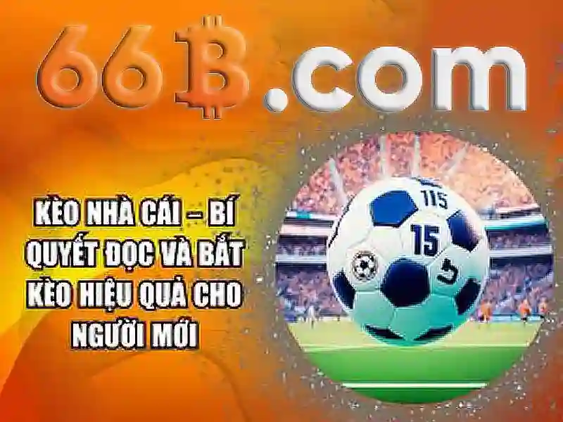 66b: một khái niệm công nghệ