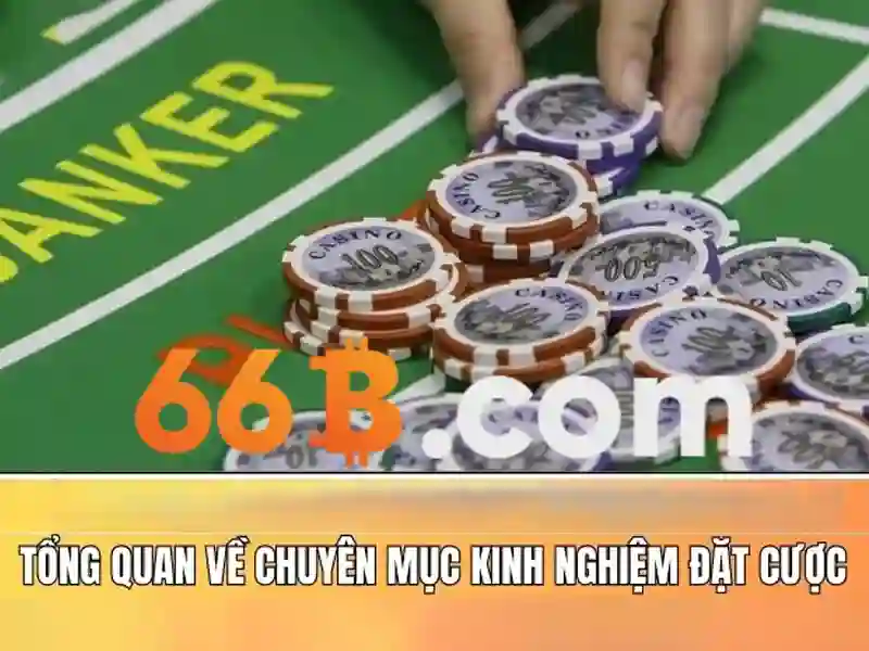 66b: Khái niệm và ảnh hưởng
