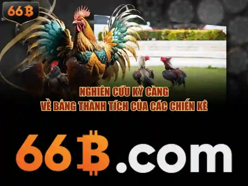 Hiệu suất và ứng dụng Hiệu suất và ứng dụng