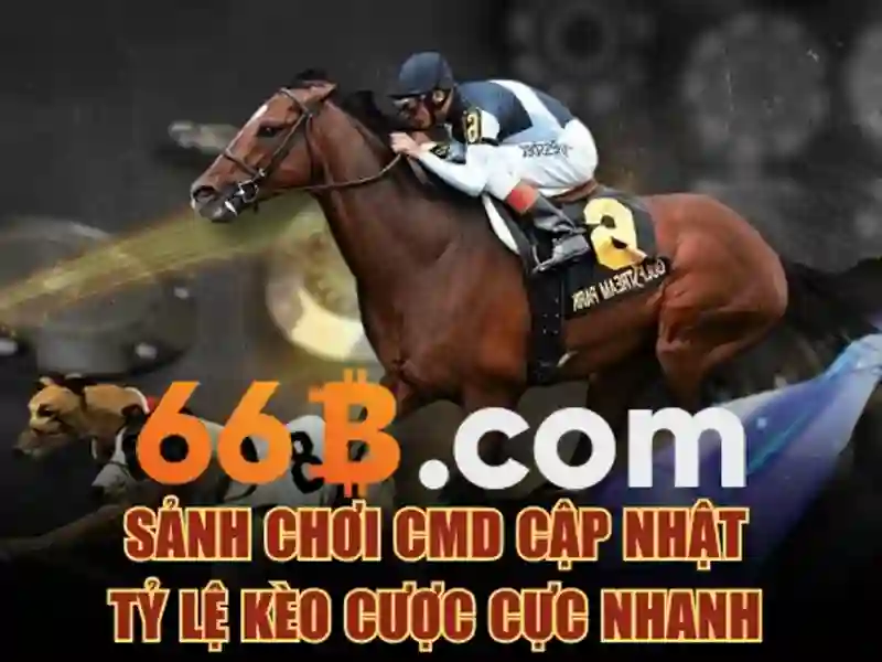 Khái niệm về 66b: một cái nhìn tổng quan