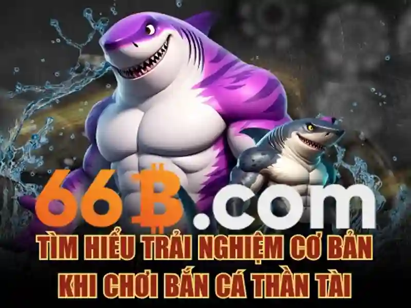 66b concord st wilmington ma 01887 – hành trình thương hiệu