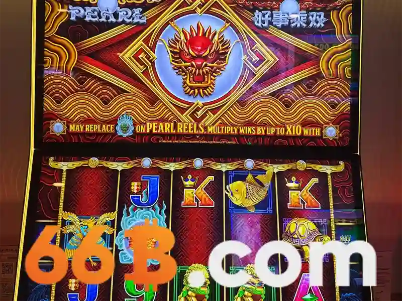 Sources shein 66b may: câu chuyện thương hiệu và định hướng thị trường