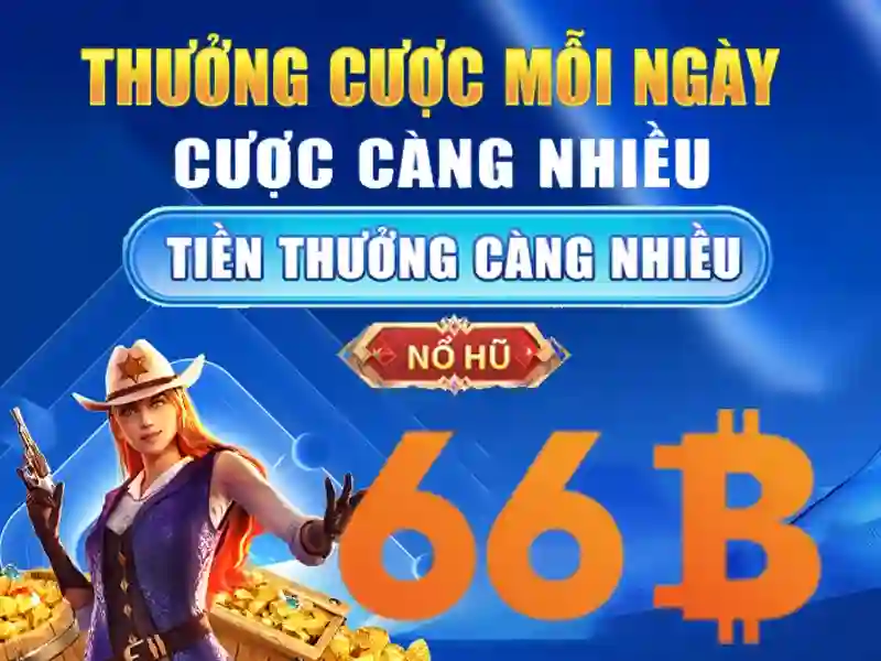 Đánh giá 66b: khám phá nền tảng và trải nghiệm