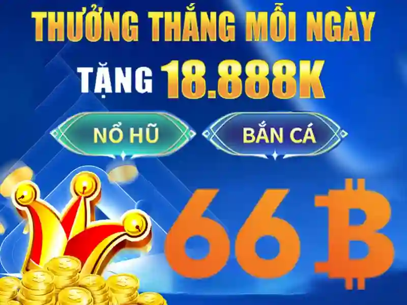 Giới thiệu về 66B\n