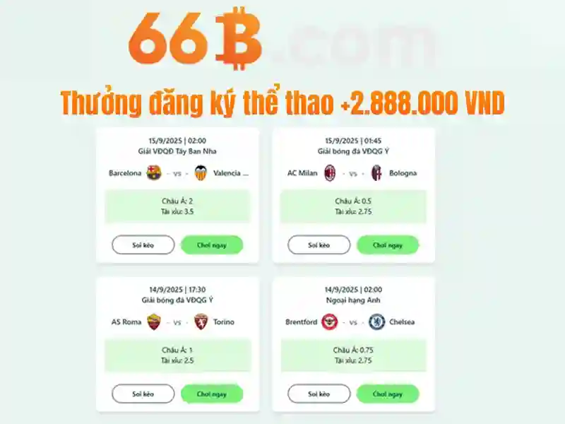 66b chính thức – Tổng quan và giá trị cốt lõi