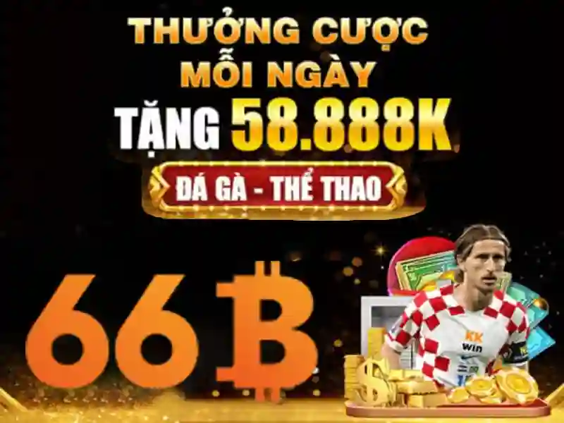 66b: khái niệm, lịch sử và tác động