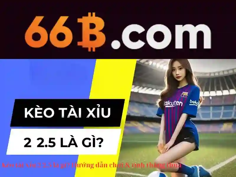 66b: khái niệm, ứng dụng và tiềm năng